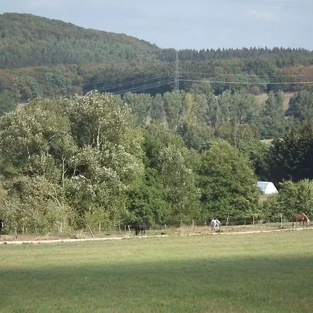 Birrenbach Comfortable Vacation Walsdorf (Rhineland-Palatinate)